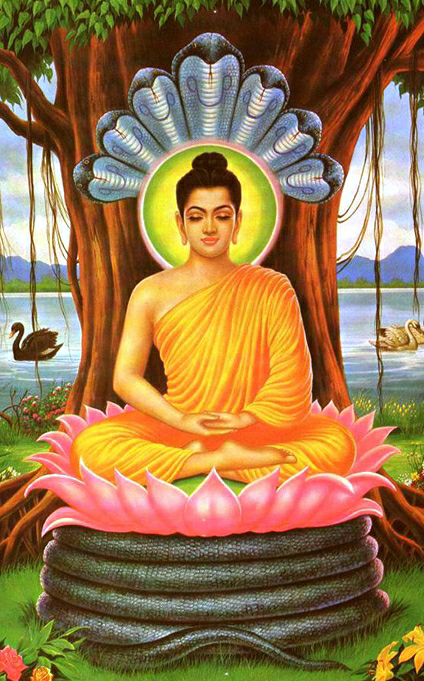 buddha-sedm-hadu